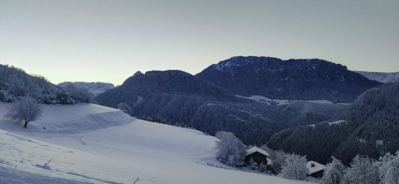 Alpine Chalet Aurora Dolomites Laion Εξωτερικό φωτογραφία